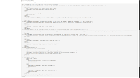 Screenshot of the generated frontend form markup