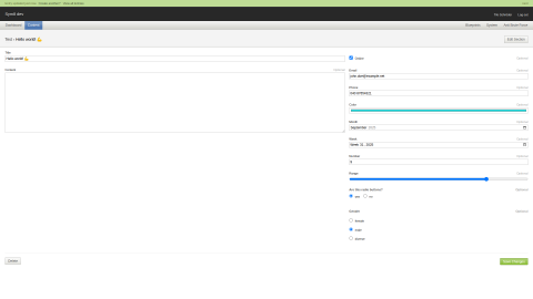 Screenshot of a section entry